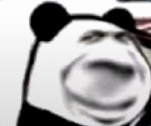 道歉表情包 6